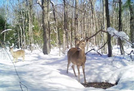 03162018_still_snow.jpg